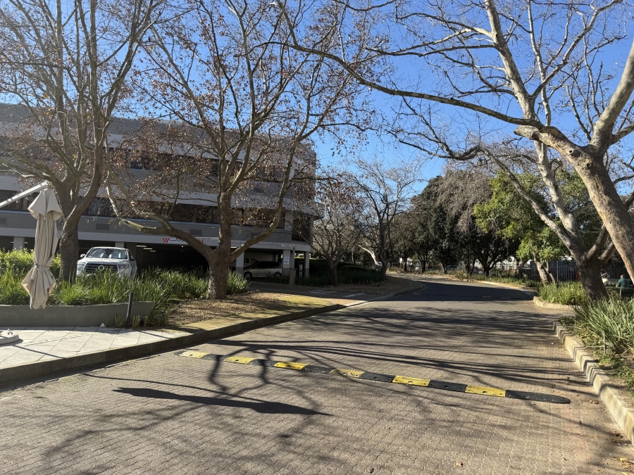 To Let Commercial Property for Rent in Mowbray Western Cape